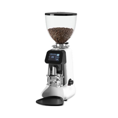 Buddy, product image from Cafetraviesa